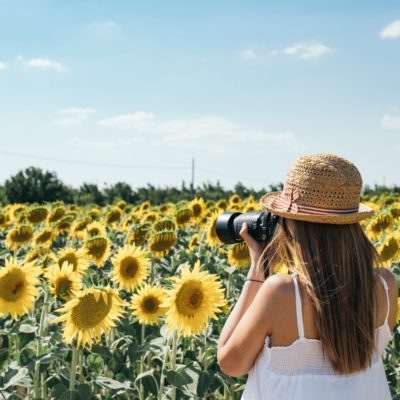 Professional Photography Sessions in the Sunflowers