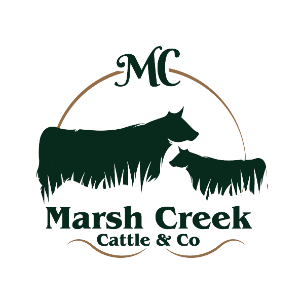 Marsh Creek Cattle