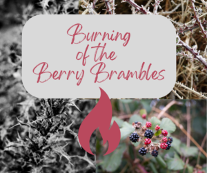 Burning of the Berry Brambles @ Emily's Produce