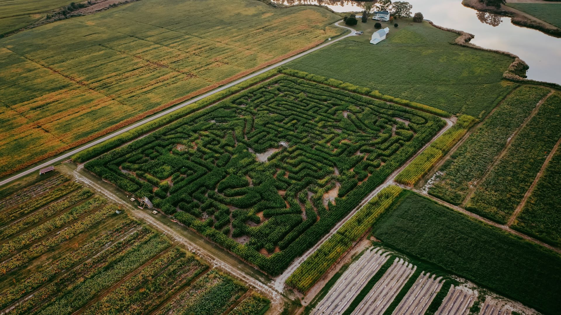 EMILY'S PRODUCE FALL 2022 Emily's Produce