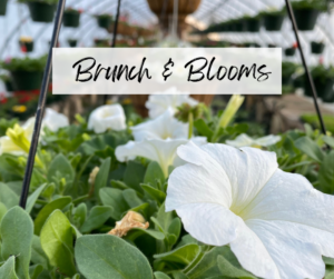 Brunch & Blooms