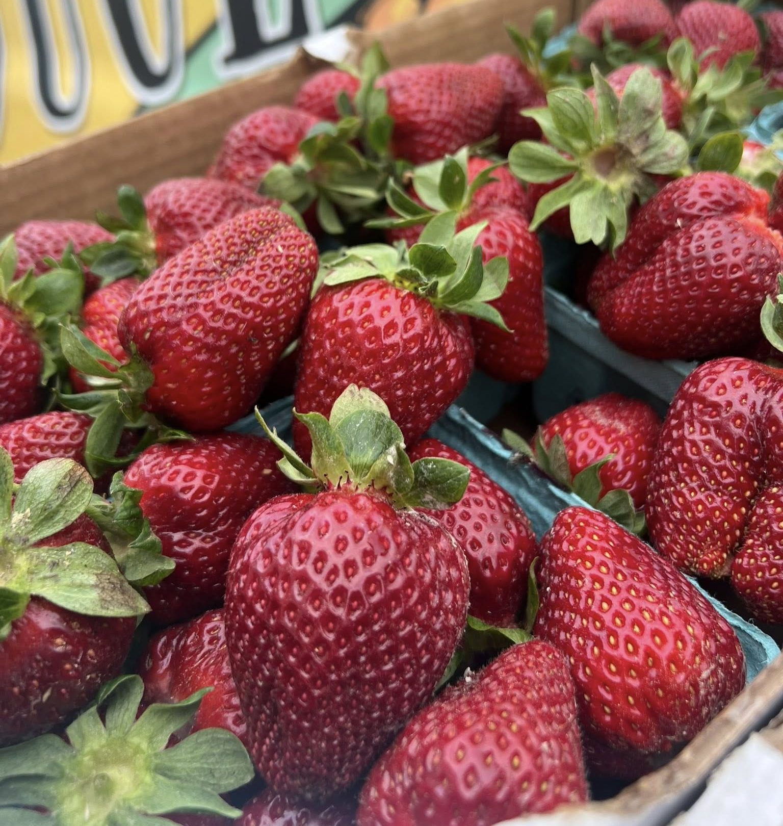 strawberries